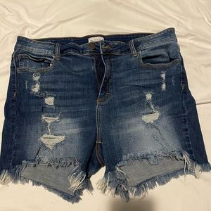 Ms. Cello Distressed jean shorts